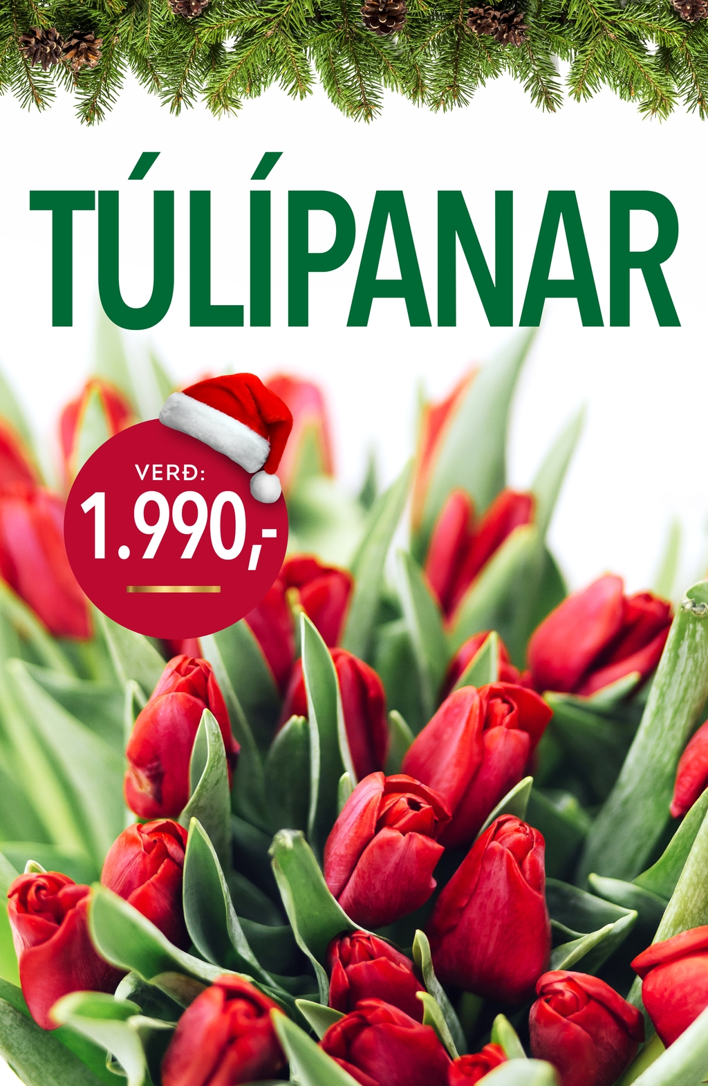 Túlípanar