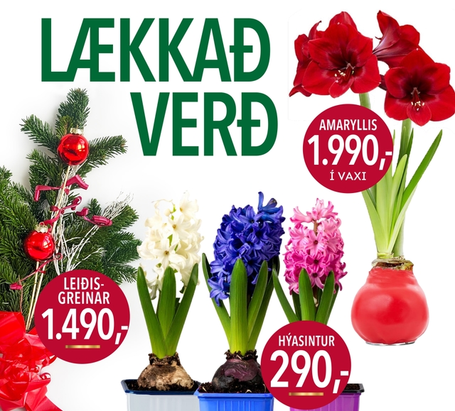 3 Saman Lækkað Verð