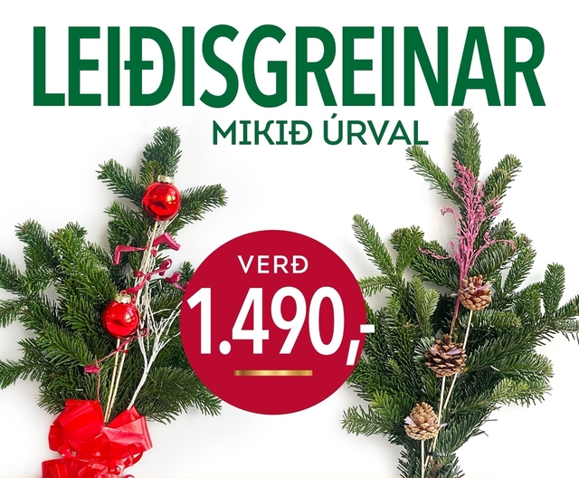 Leiðisgreinar