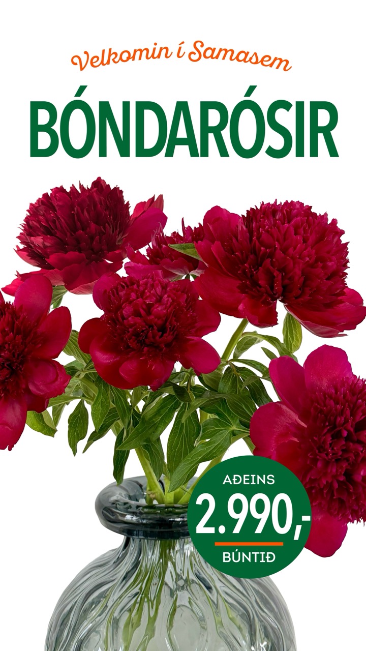 Bondarosir tilboð