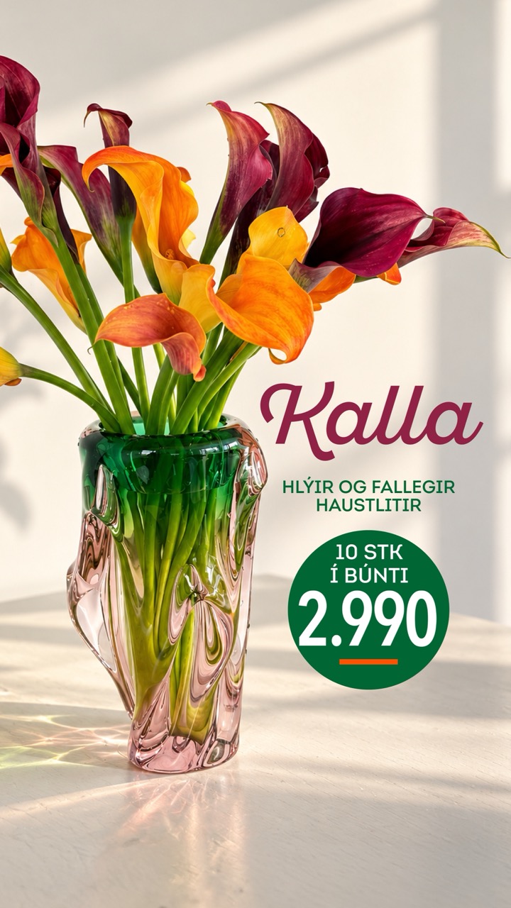 Kalla, 10 stk í búnti á 2.990 krónur