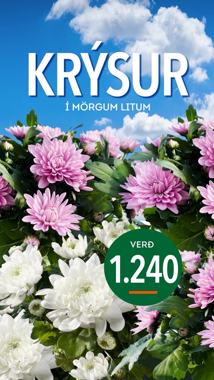 Krysur tilboð