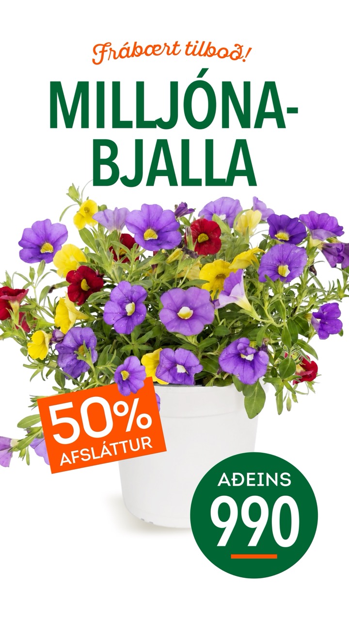 Milljonabjalla tilboð