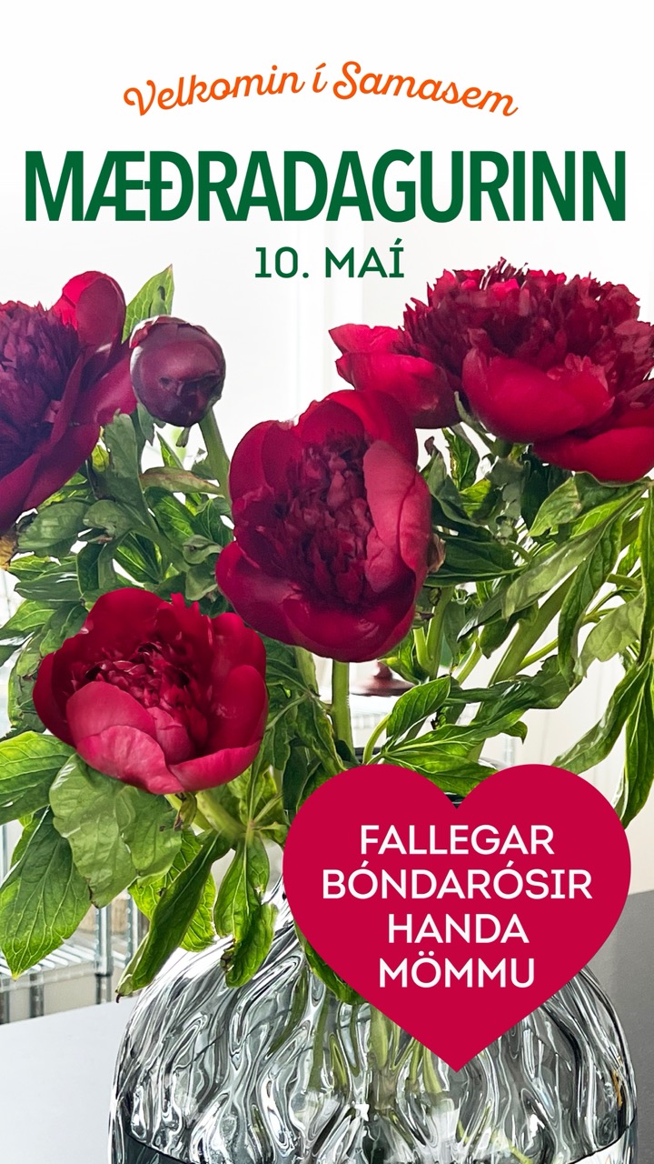 Mæðradagur tilboð