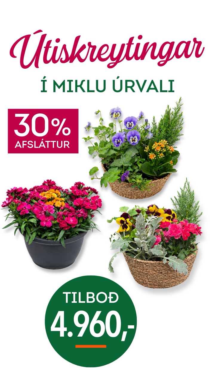 Utiskreytingar tilboð