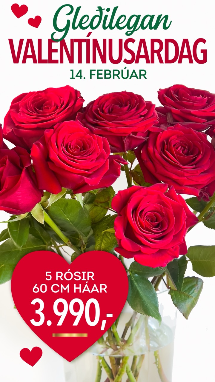 Valentinusar tilboð, verð 3990