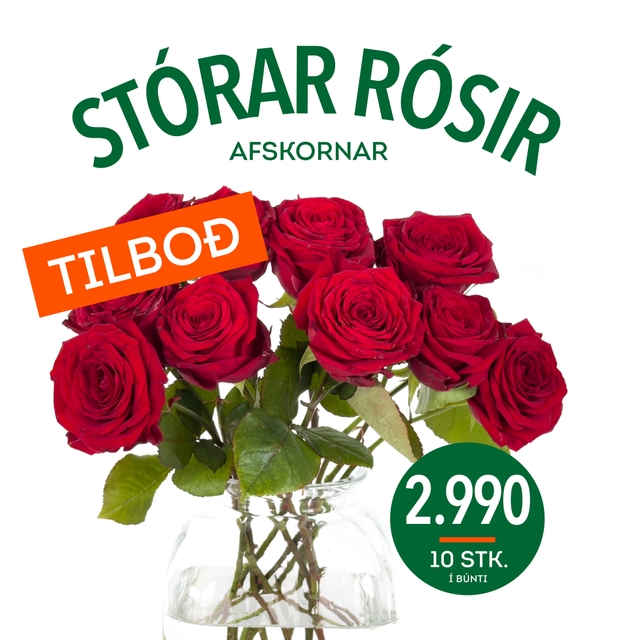 Afskorin rós tilboð