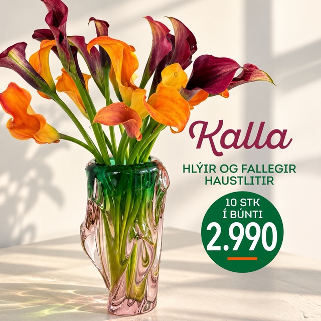 Kalla, 10 stk í búnti á 2.990 krónur