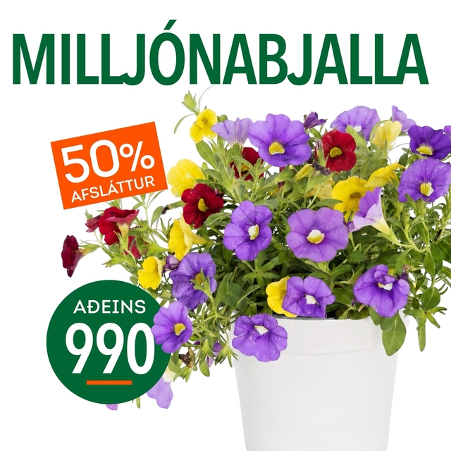 Milljonabjalla tilboð
