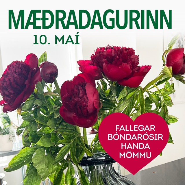 Mæðradagur tilboð