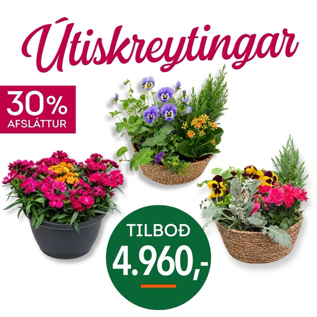 Utiskreytingar tilboð