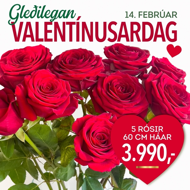 Valentinusar tilboð, verð 3990