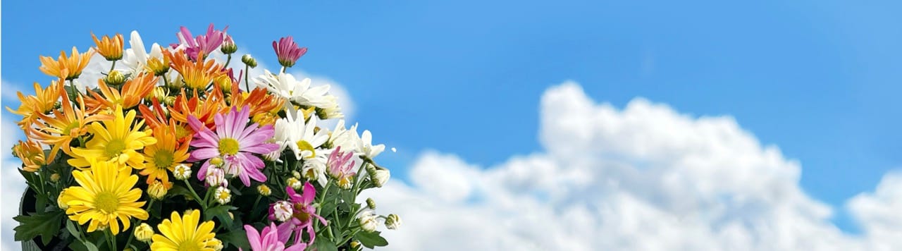 Jóla Auglýsing 2025