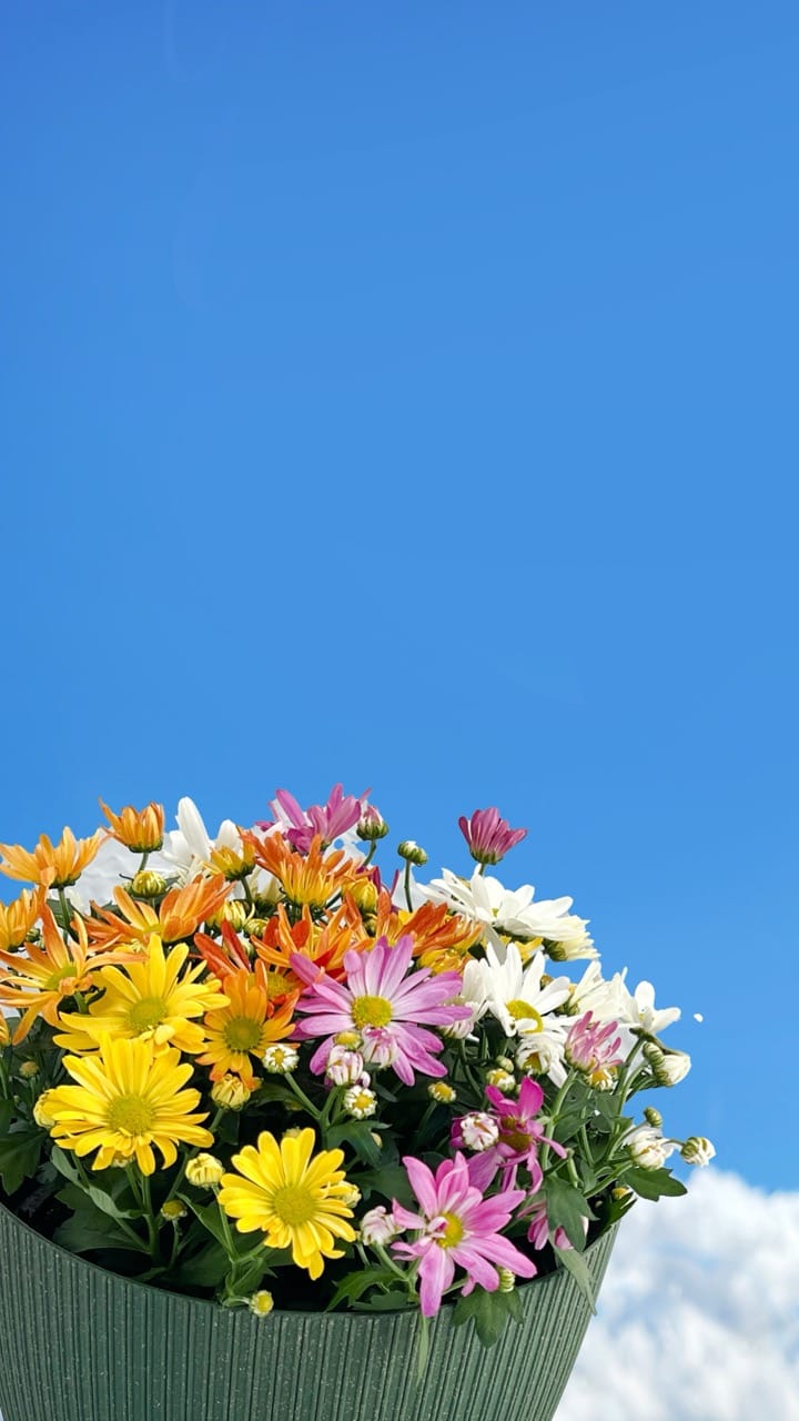 Jóla Auglýsing 2025