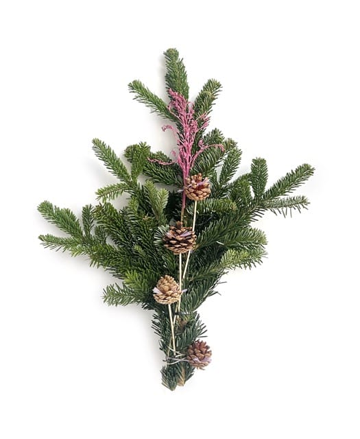 Leiðisgrein könglar