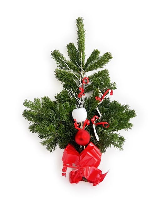 Leiðisgrein rauð-hvít